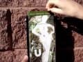 ODIM438 Water Test