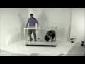 IEV Display Case Set Up | Product Assembly | Displays2go®
