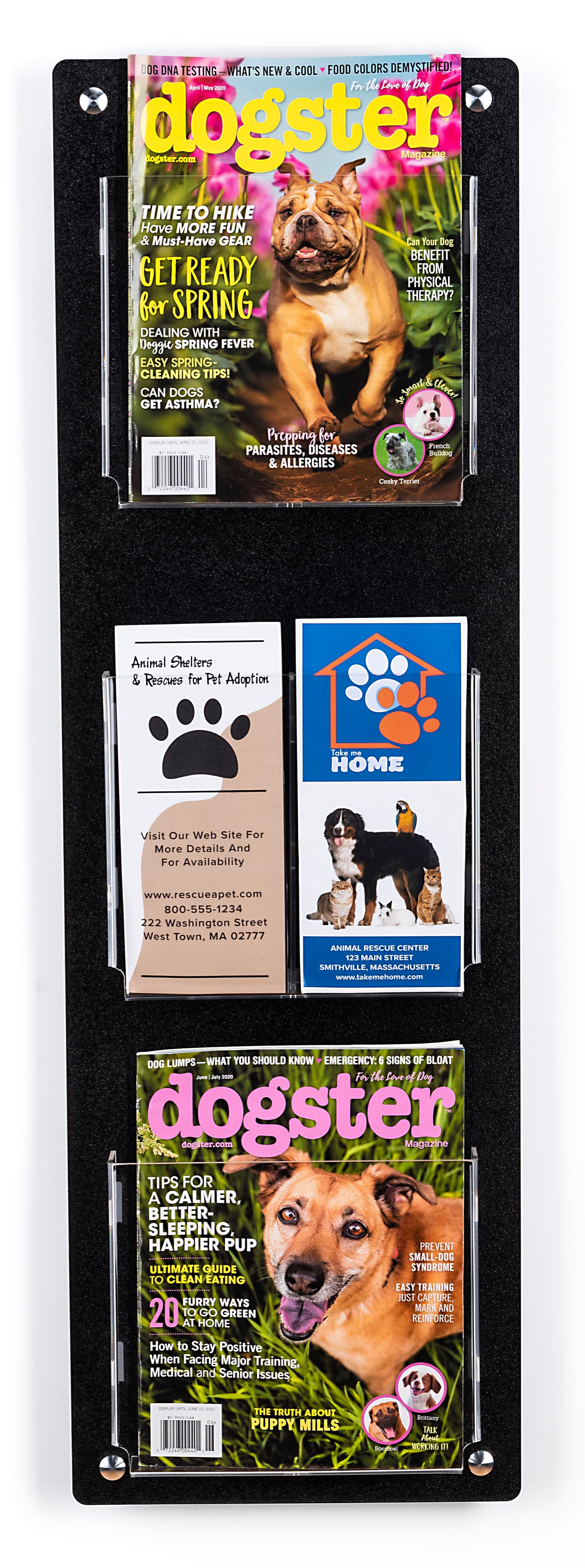 Wall mounting magazine and brochure holder with stainless steel standoffs 