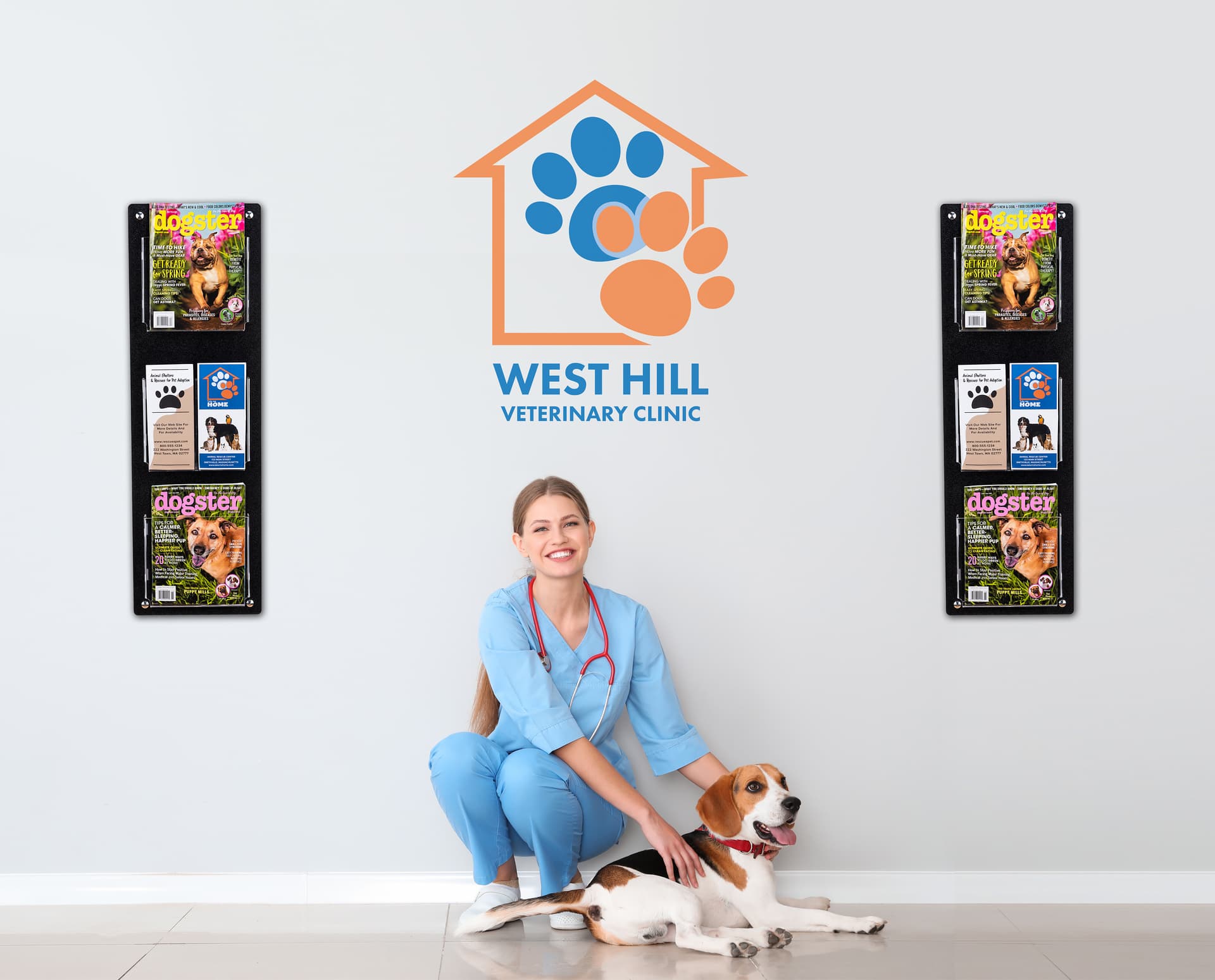 Wall mounting magazine and brochure holder with a sleek black back board 