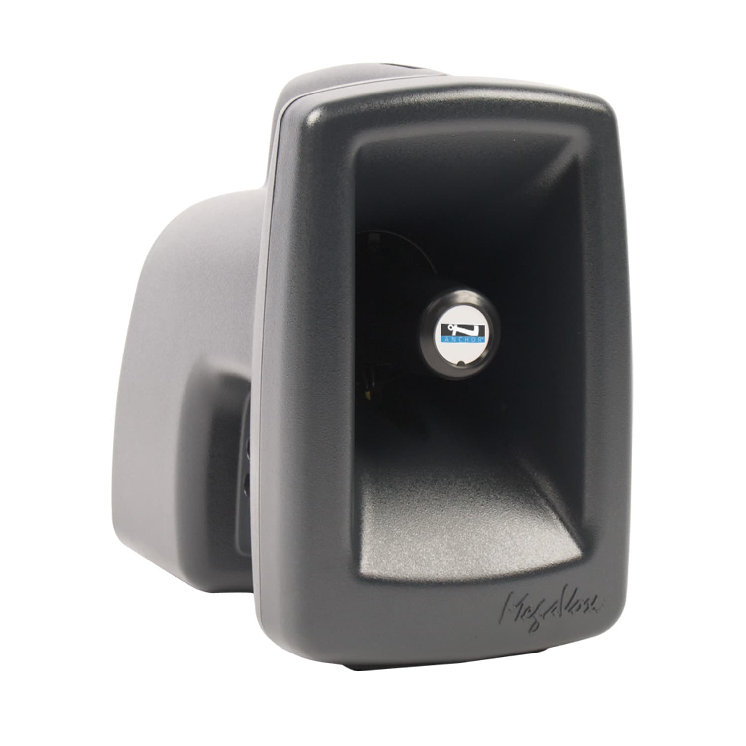 Portable pa system with wireless mic and black speakers