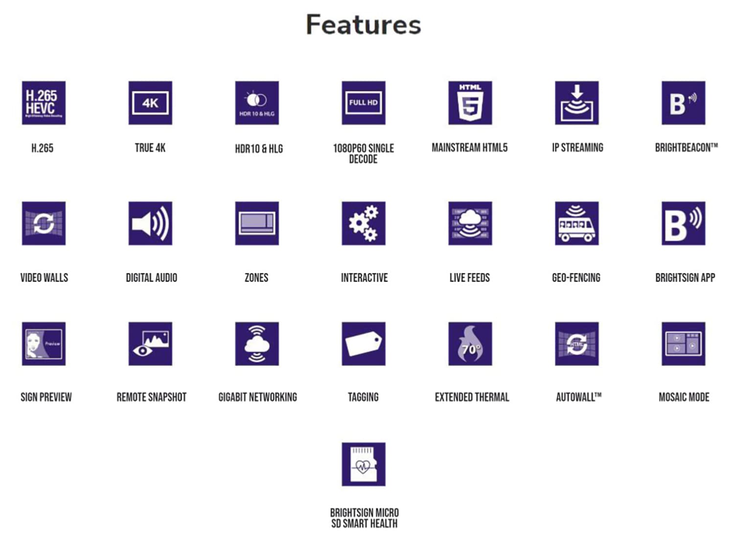 BrightSign HD226 digital signage media player with advanced HTML5 performance
