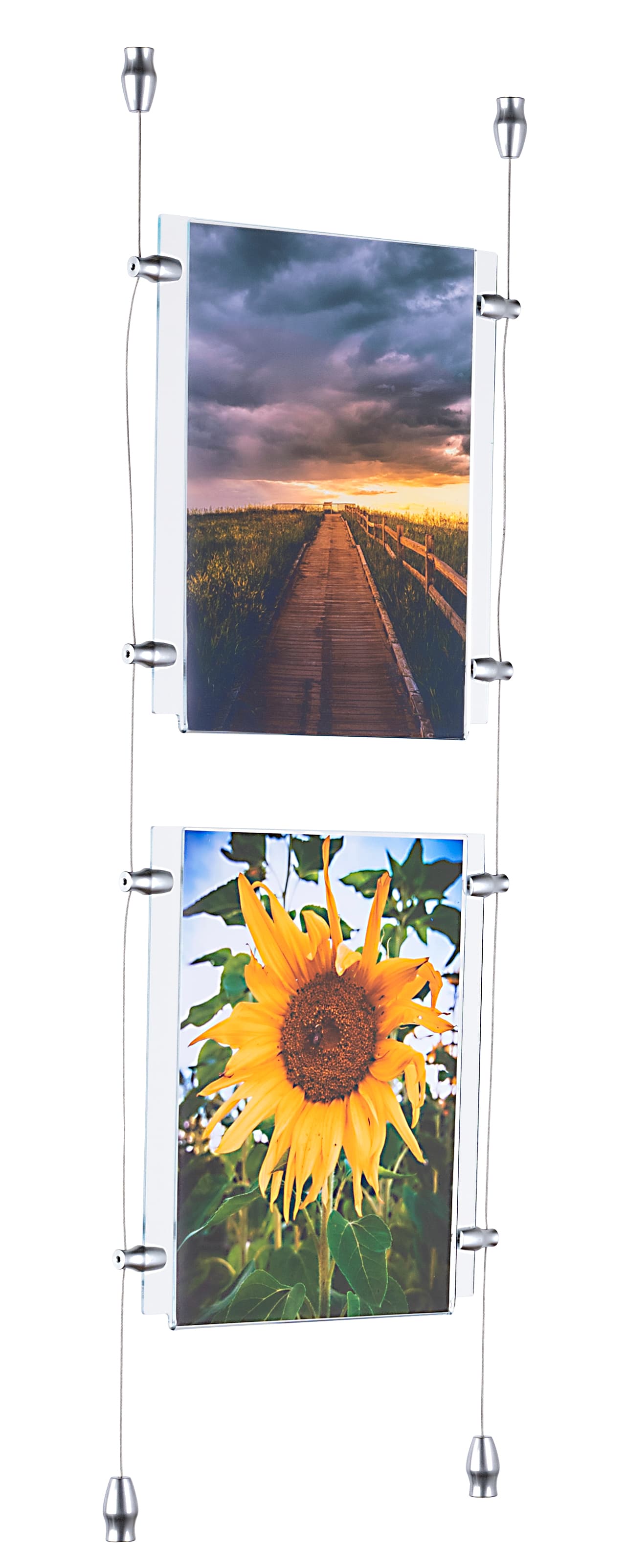 window hanging signs
