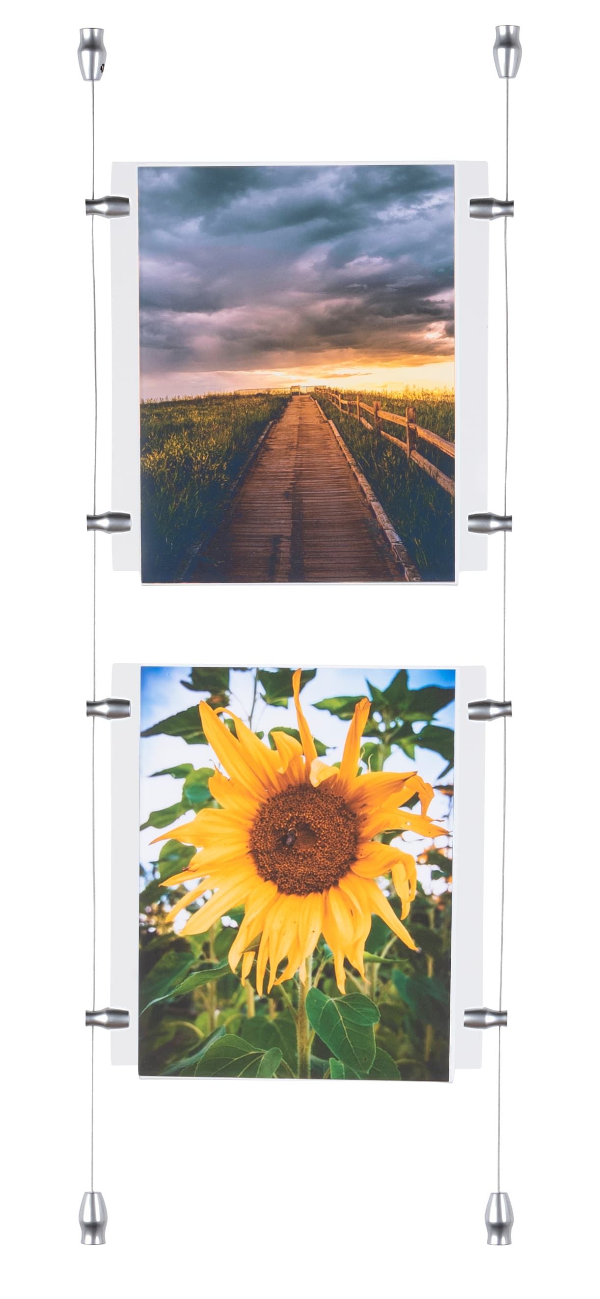 window hanging signs