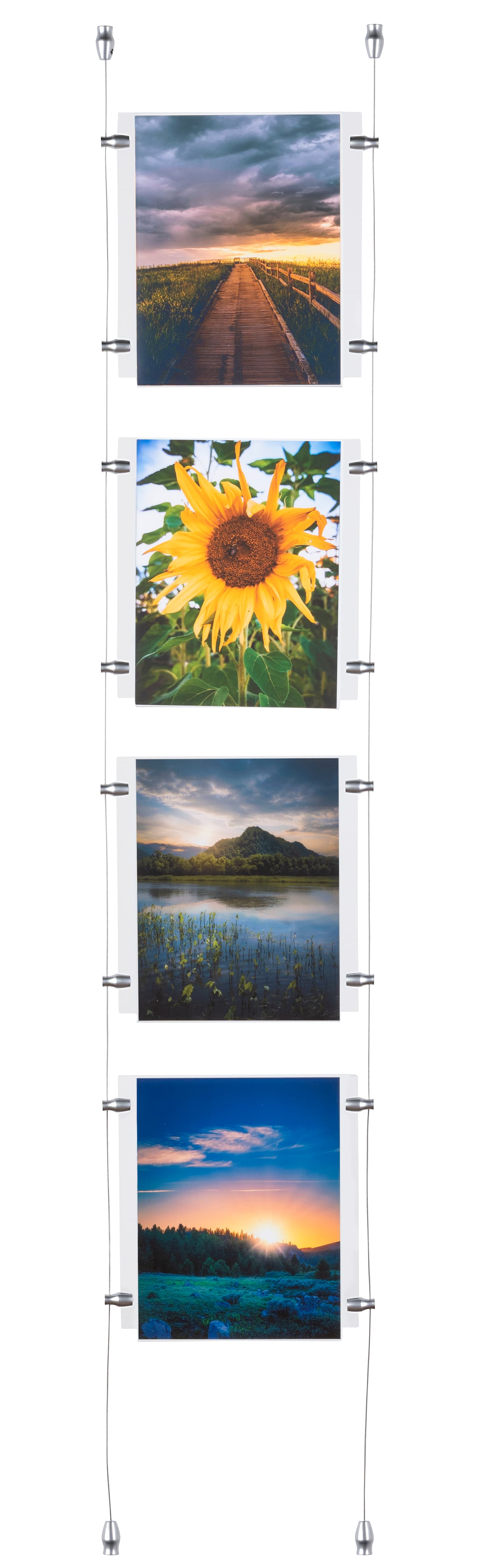 window advertising signs