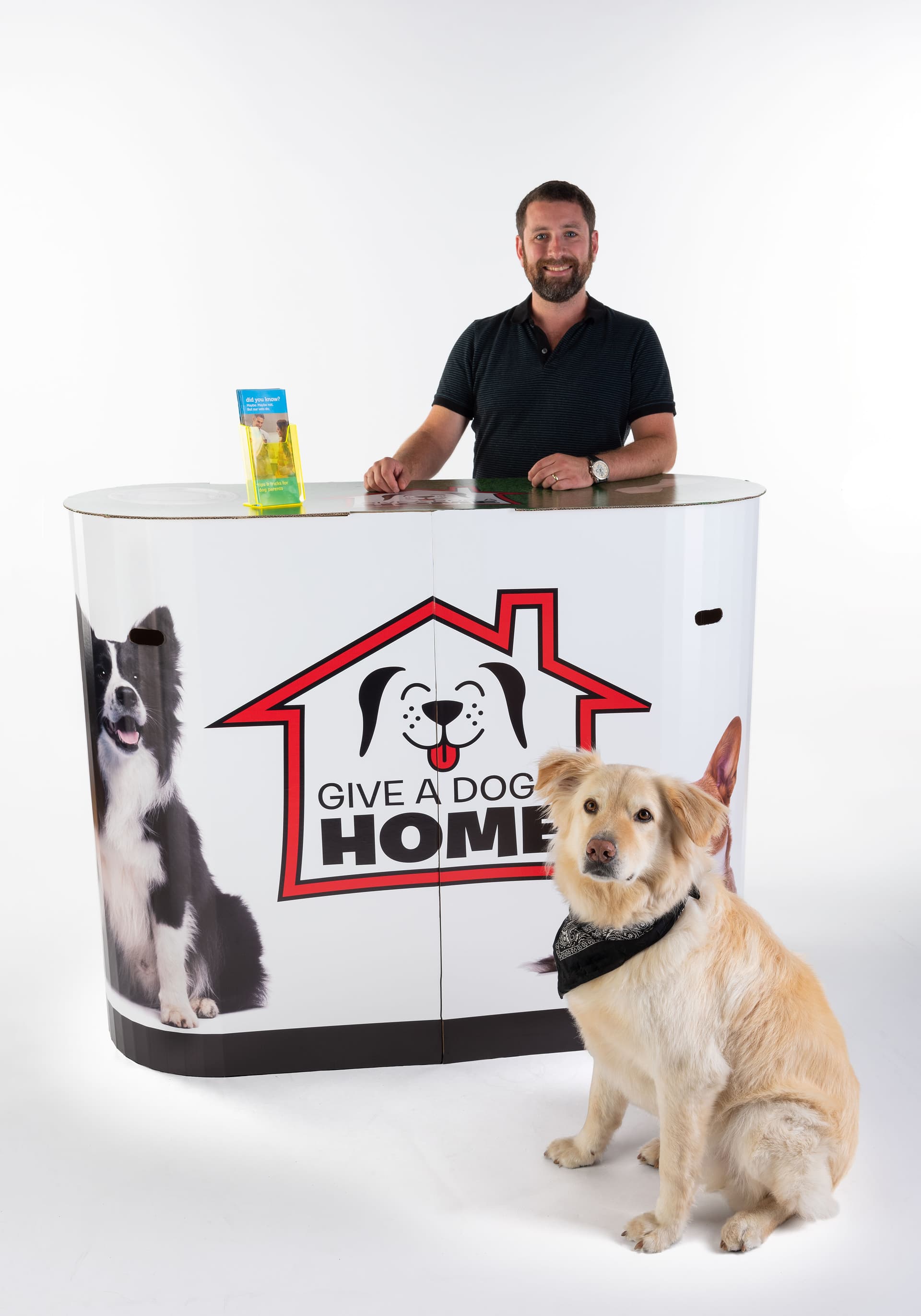 Portable cardboard booth display counter with vivid color customizable graphics 