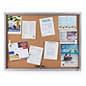 Enclosed Cork Board with Locking Doors