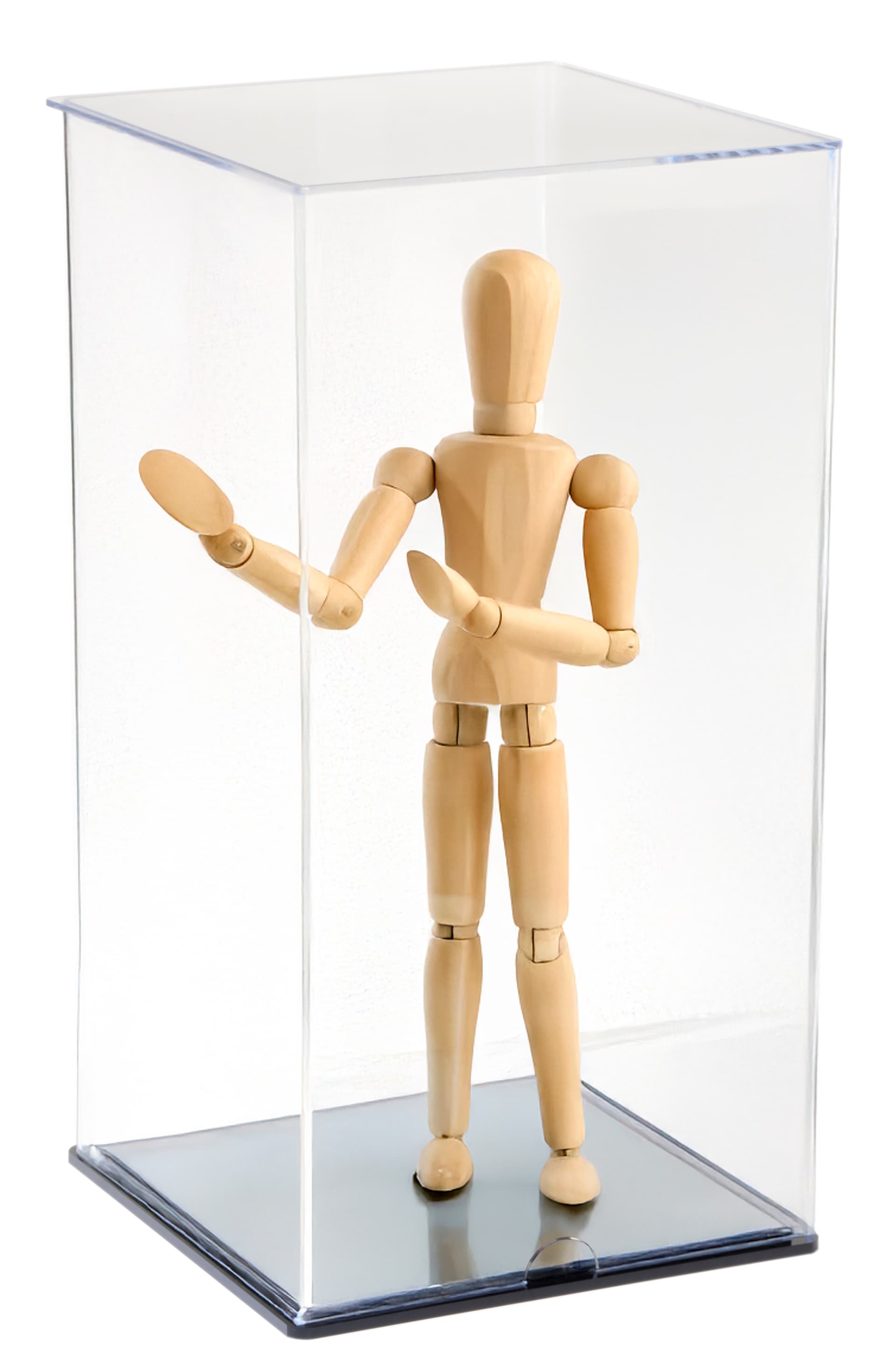Acrylic Doll Display Case w/Action Figure
