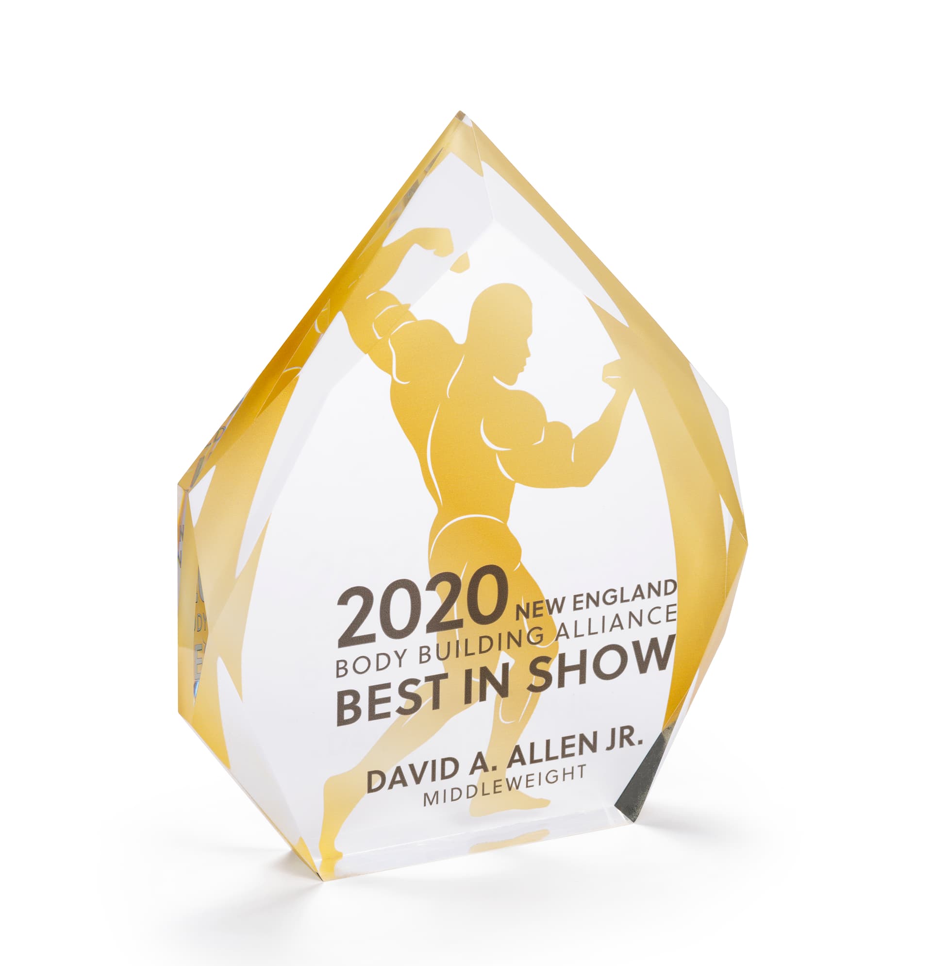 Custom printed diamond cut business trophy