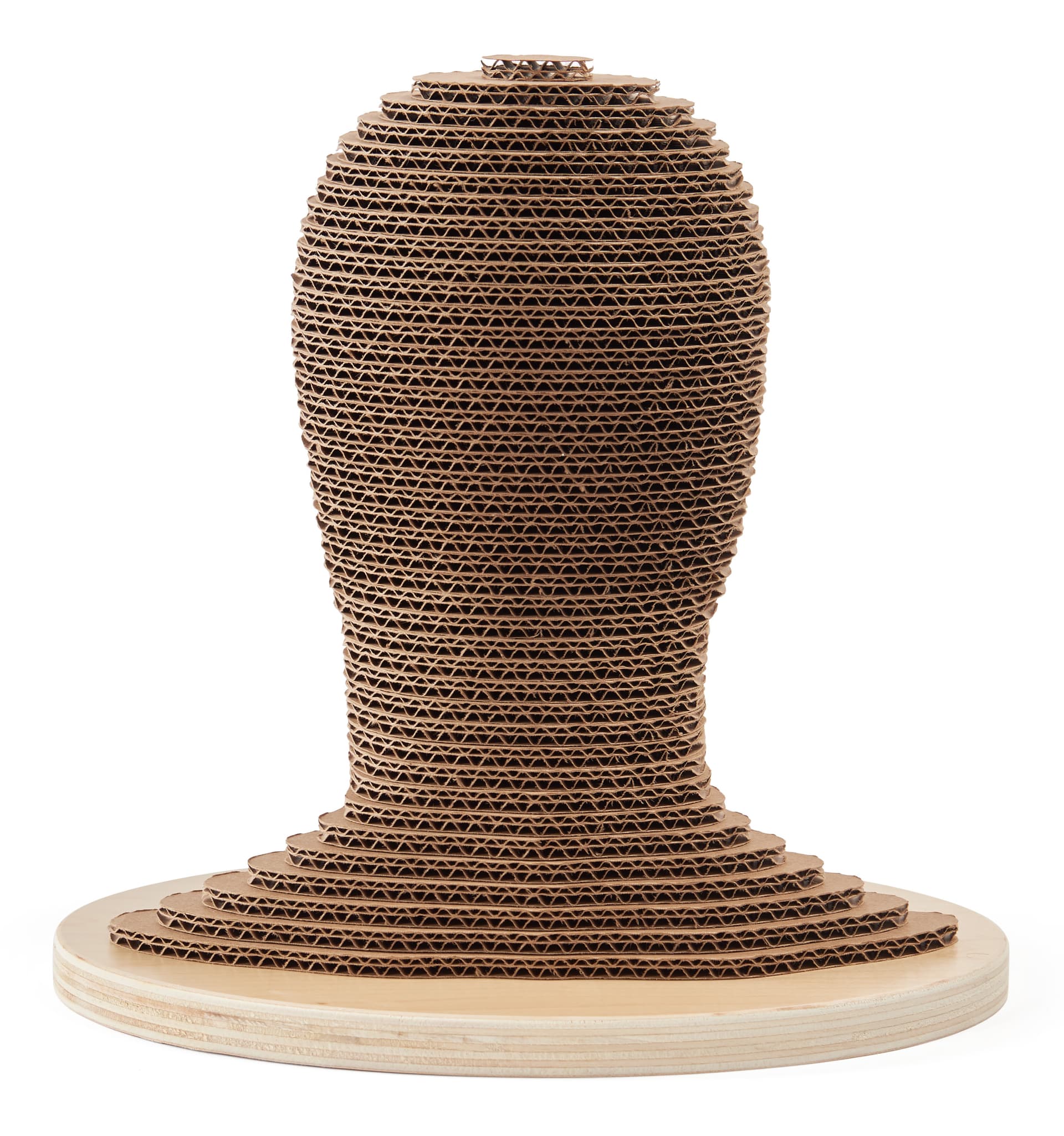 Cardboard mannequin head with unisex design 