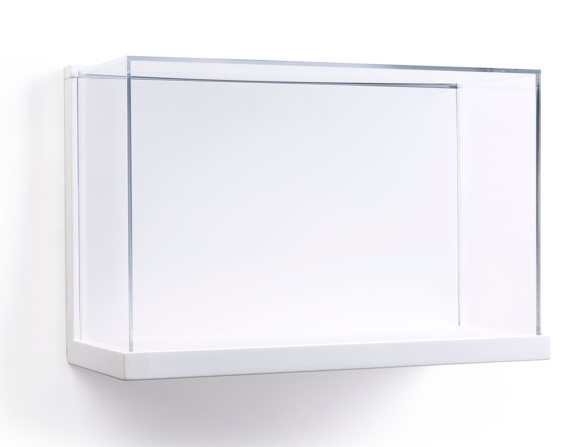 Museum Style Wall Mount Display Box Hanging