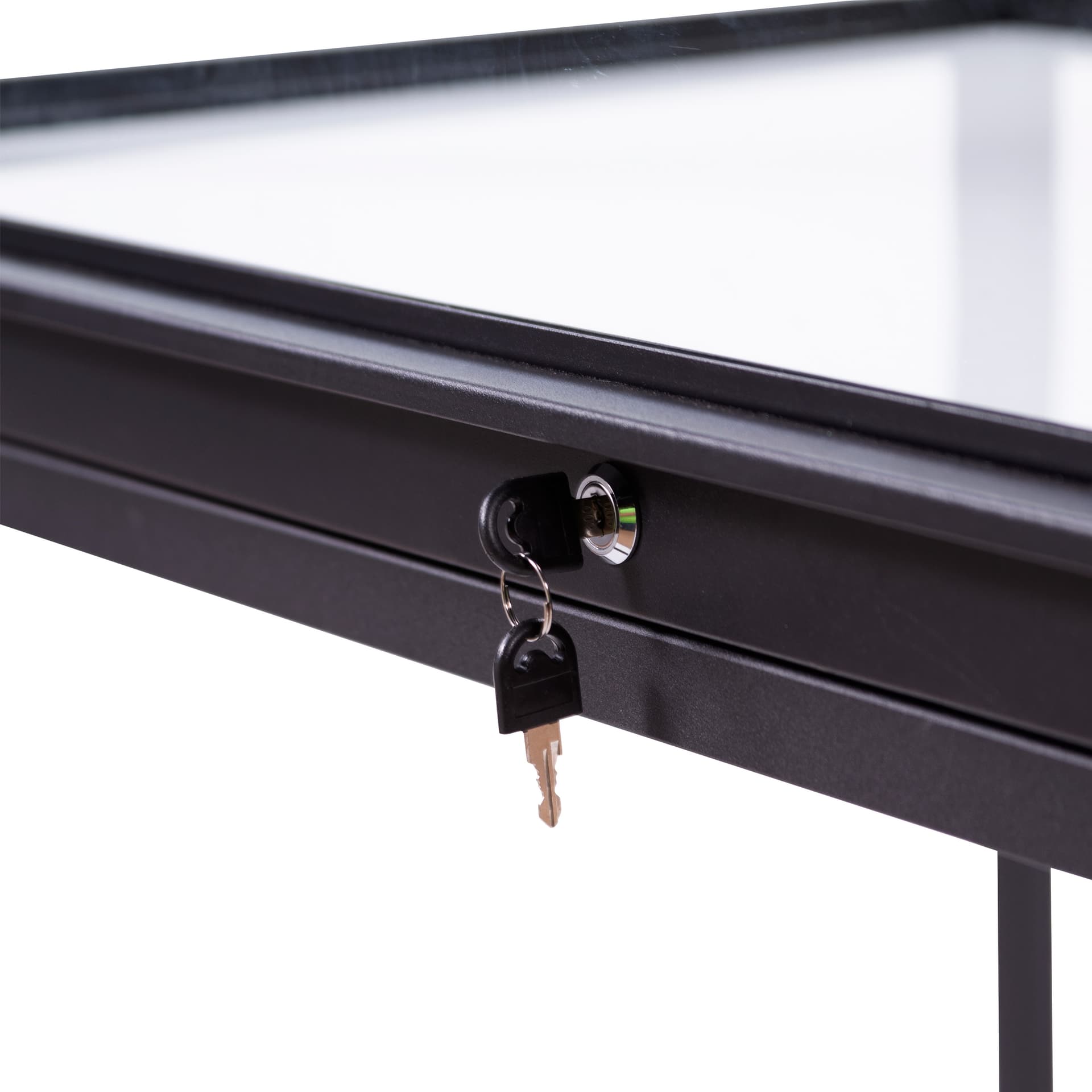 Full vision display case with lock