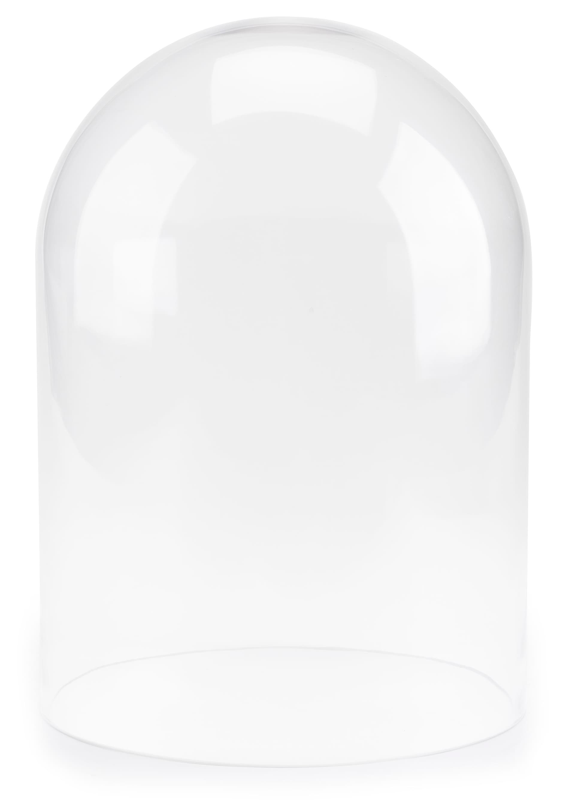 Small glass bell jar fits over items under 13 inches tall 