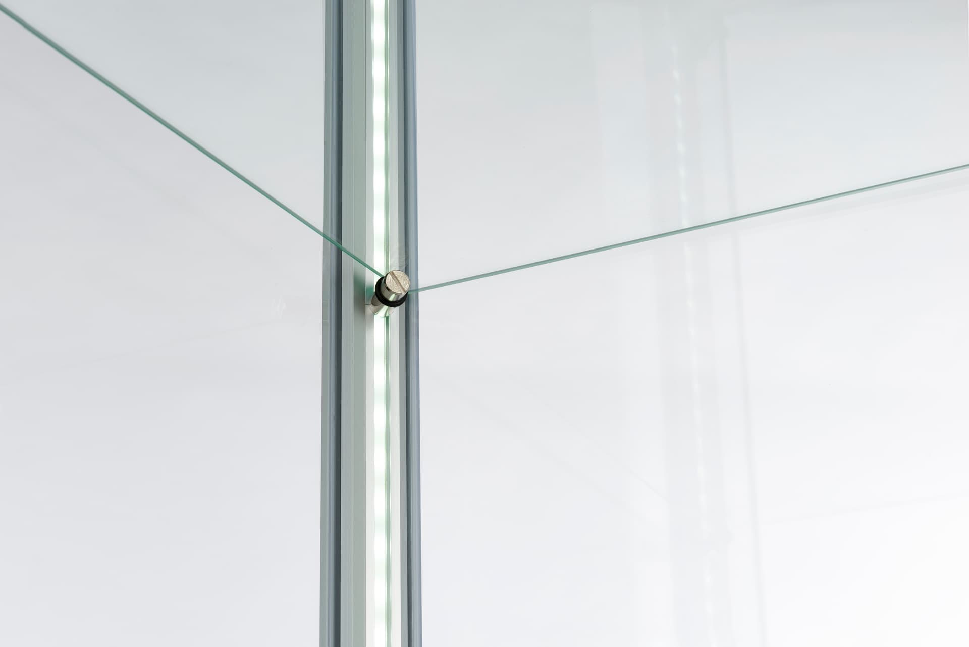 full glass narrow display showcase with adjustable shelves