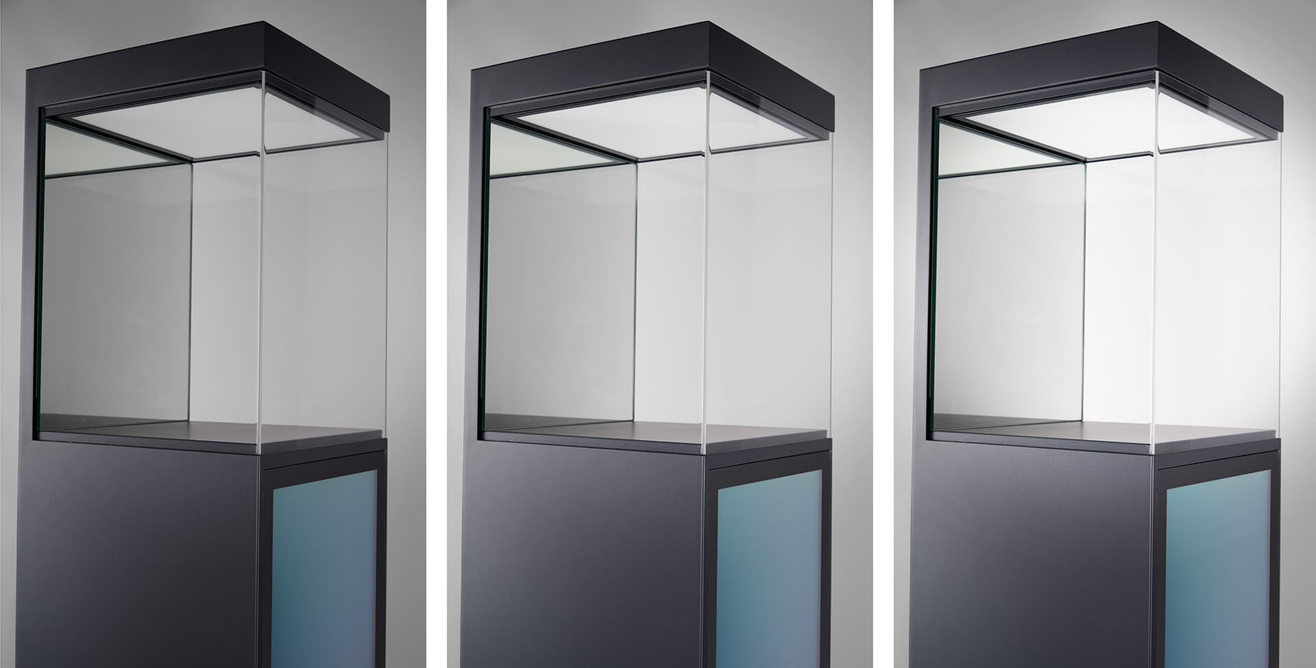 Exhibit pedestal case with video screen and dimmable showcase