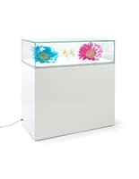 MDF and tempered glass LED exhibit showcase
