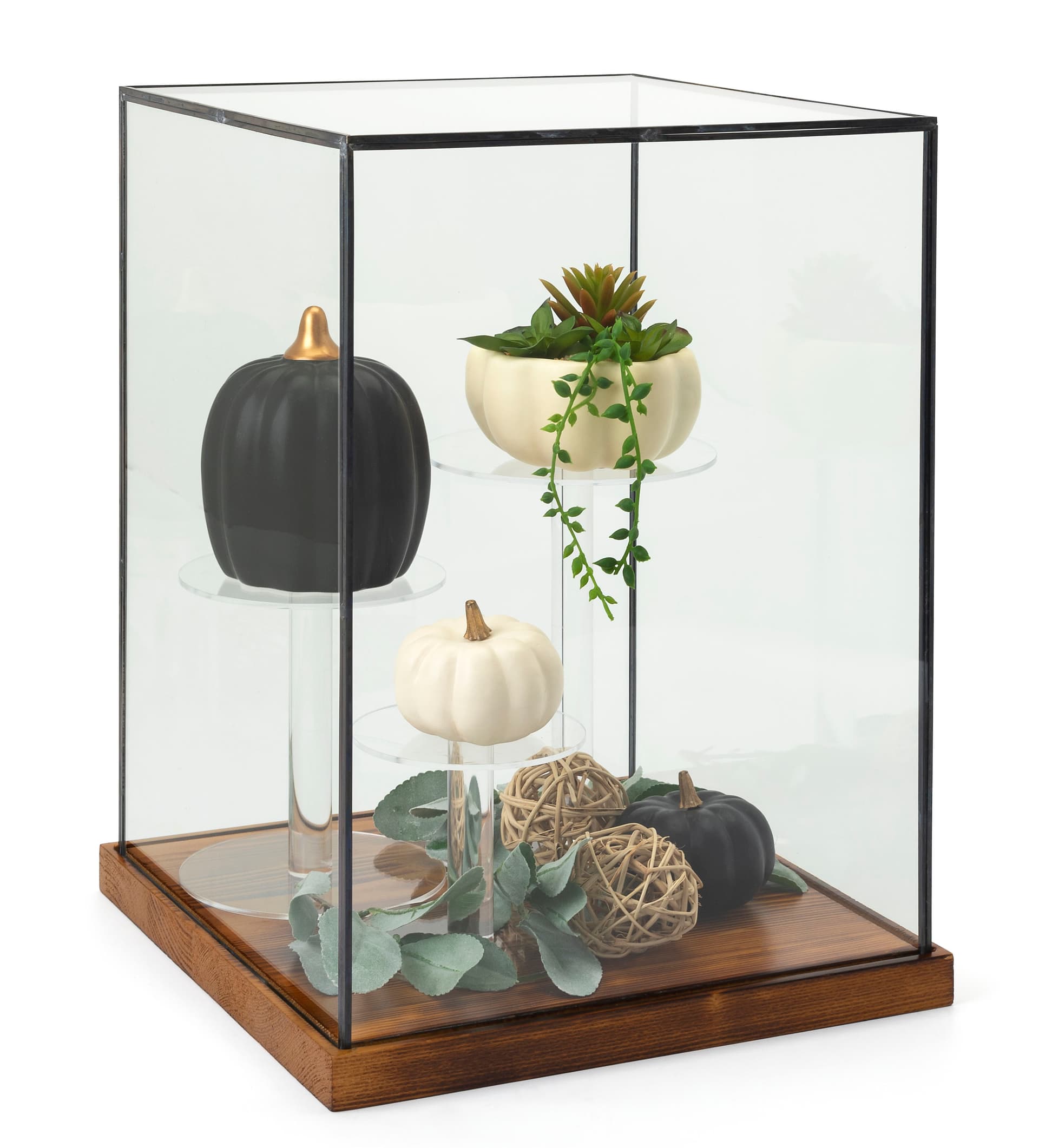Tall wood and glass countertop display case with black copper edge detail