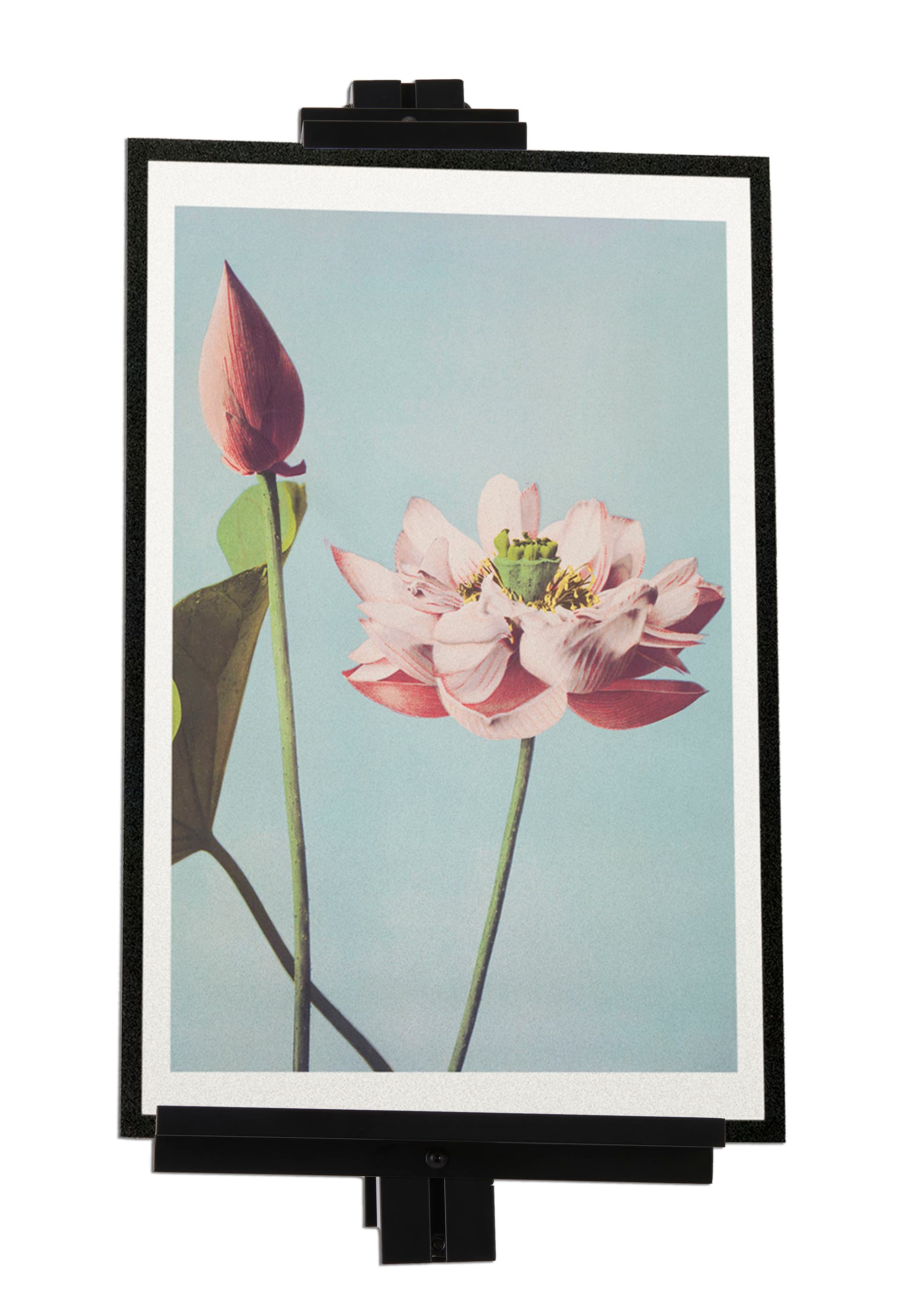 Studio wall easel compatible with media sized up to 18 inches tall