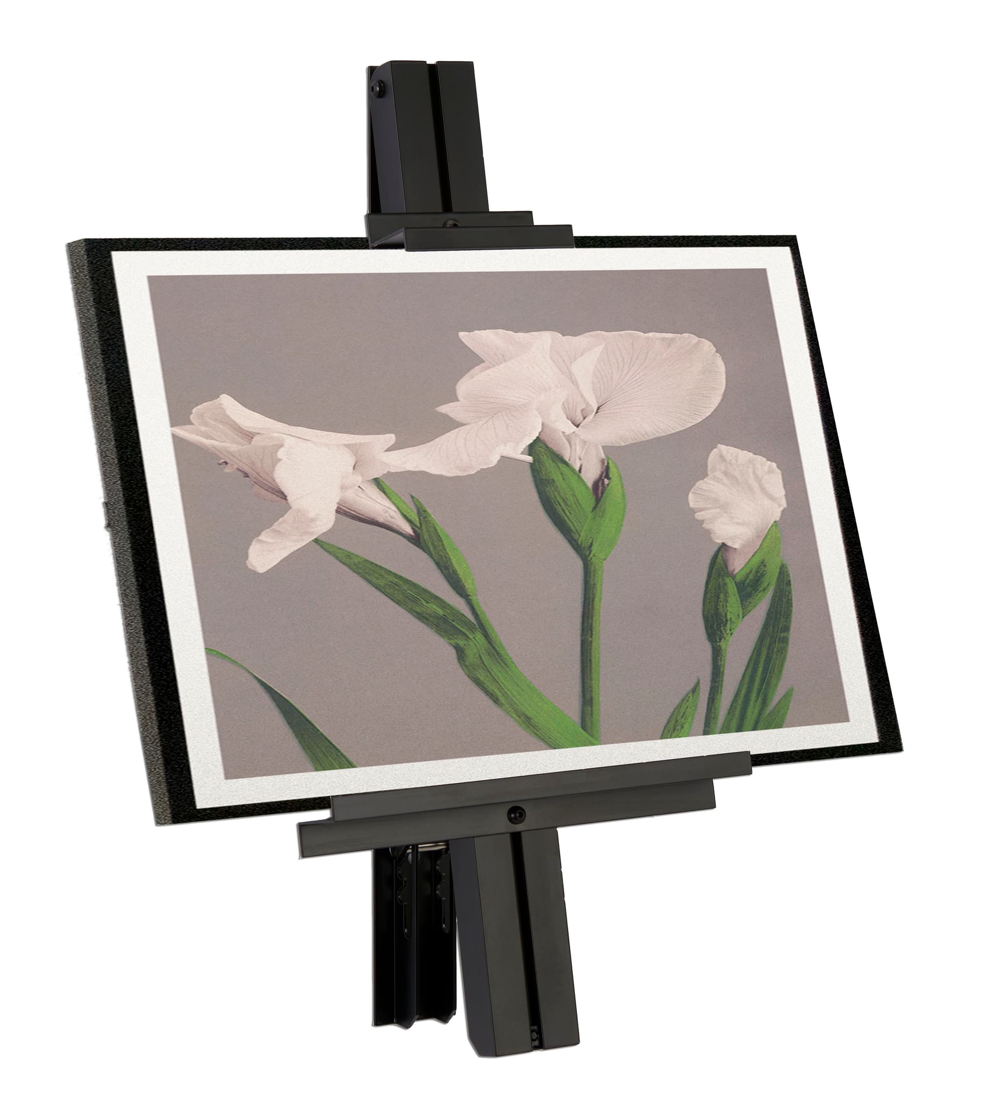 Studio wall easel with 10 inch wide bottom bar