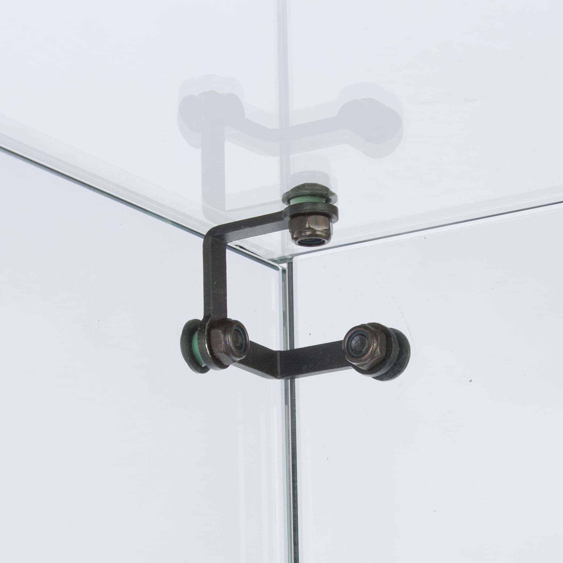 display case
