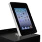 iPad Counter Mount w/ Locking Enclosure, Home Button Covered - Silver