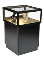 Black LED Display Case Pedestal