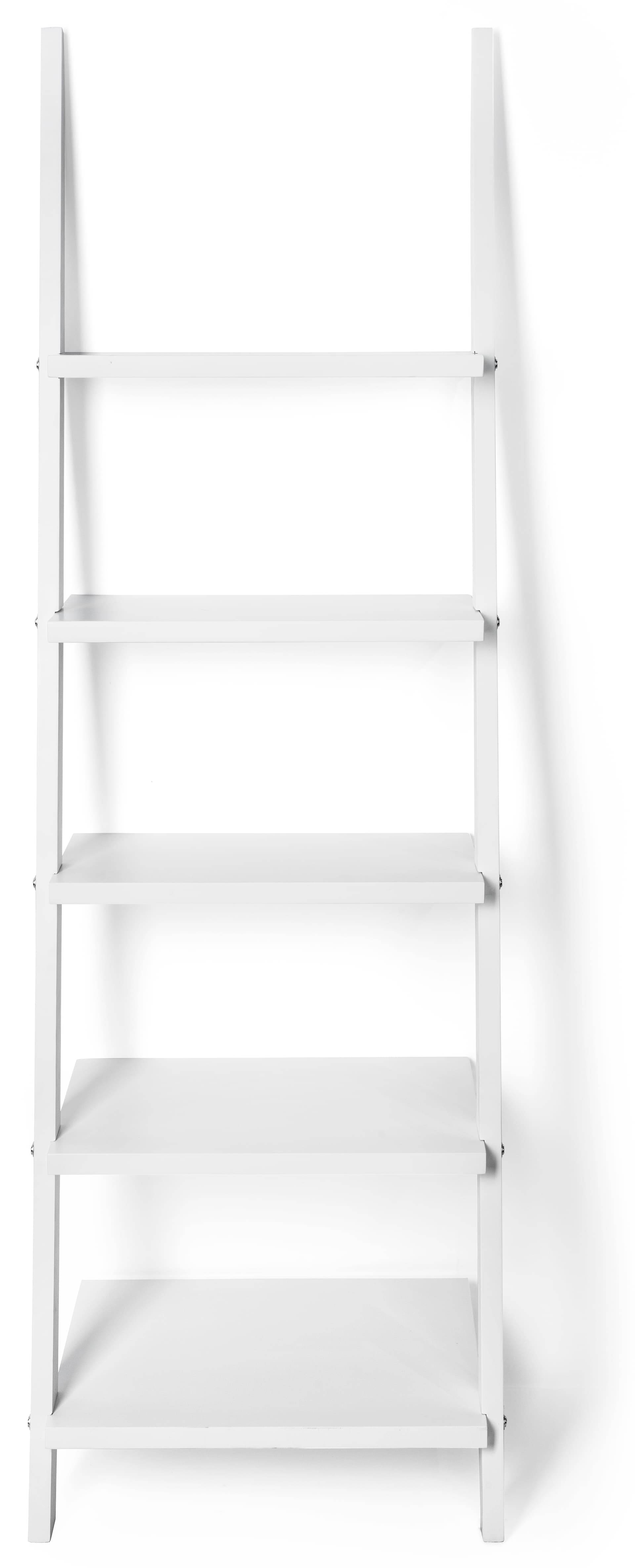 Leaning Ladder Shelves with Pine Construction