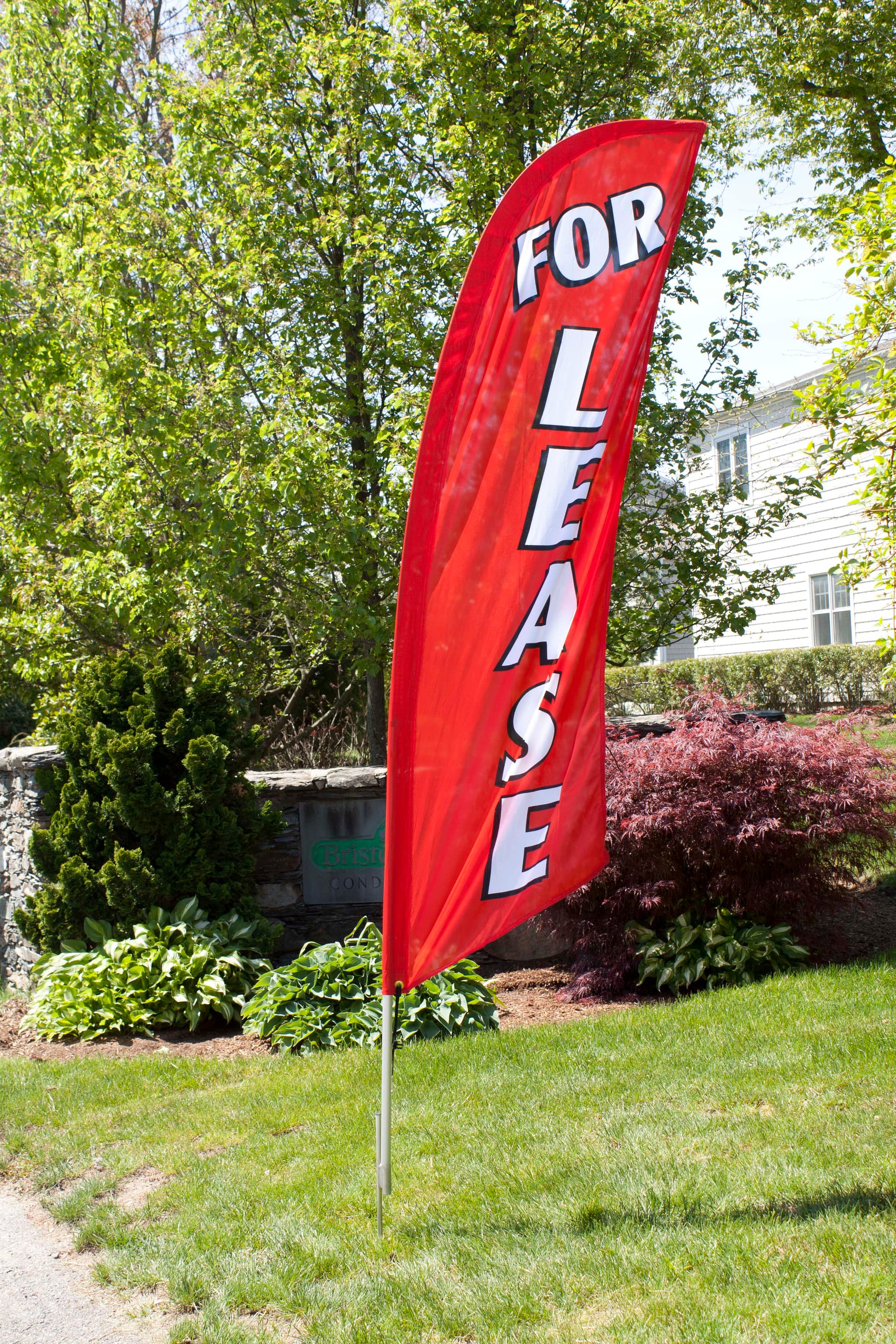 FOR LEASE Swooper Flag