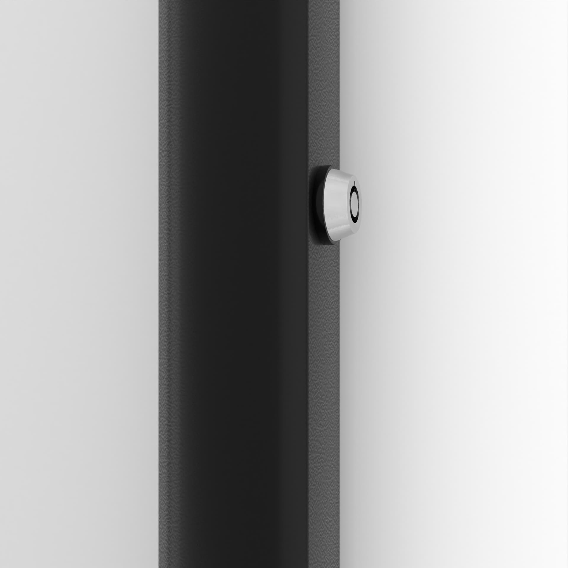 Locking poster holder with plunger lock