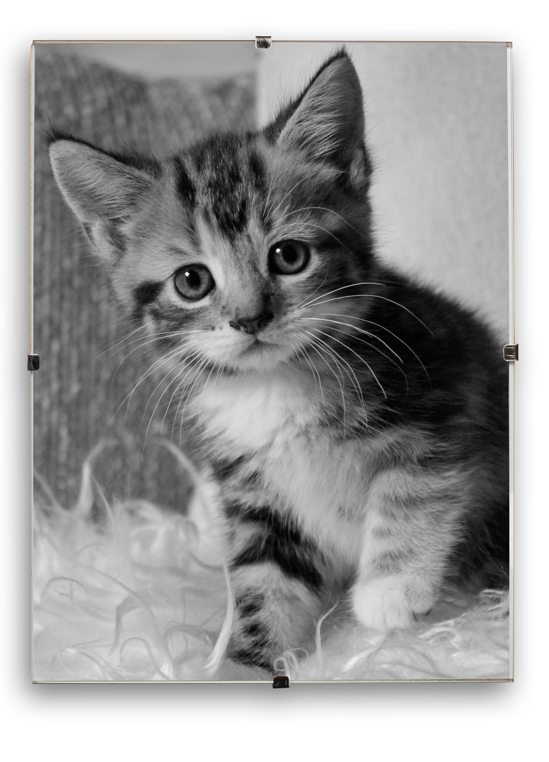 glass clip photo frame