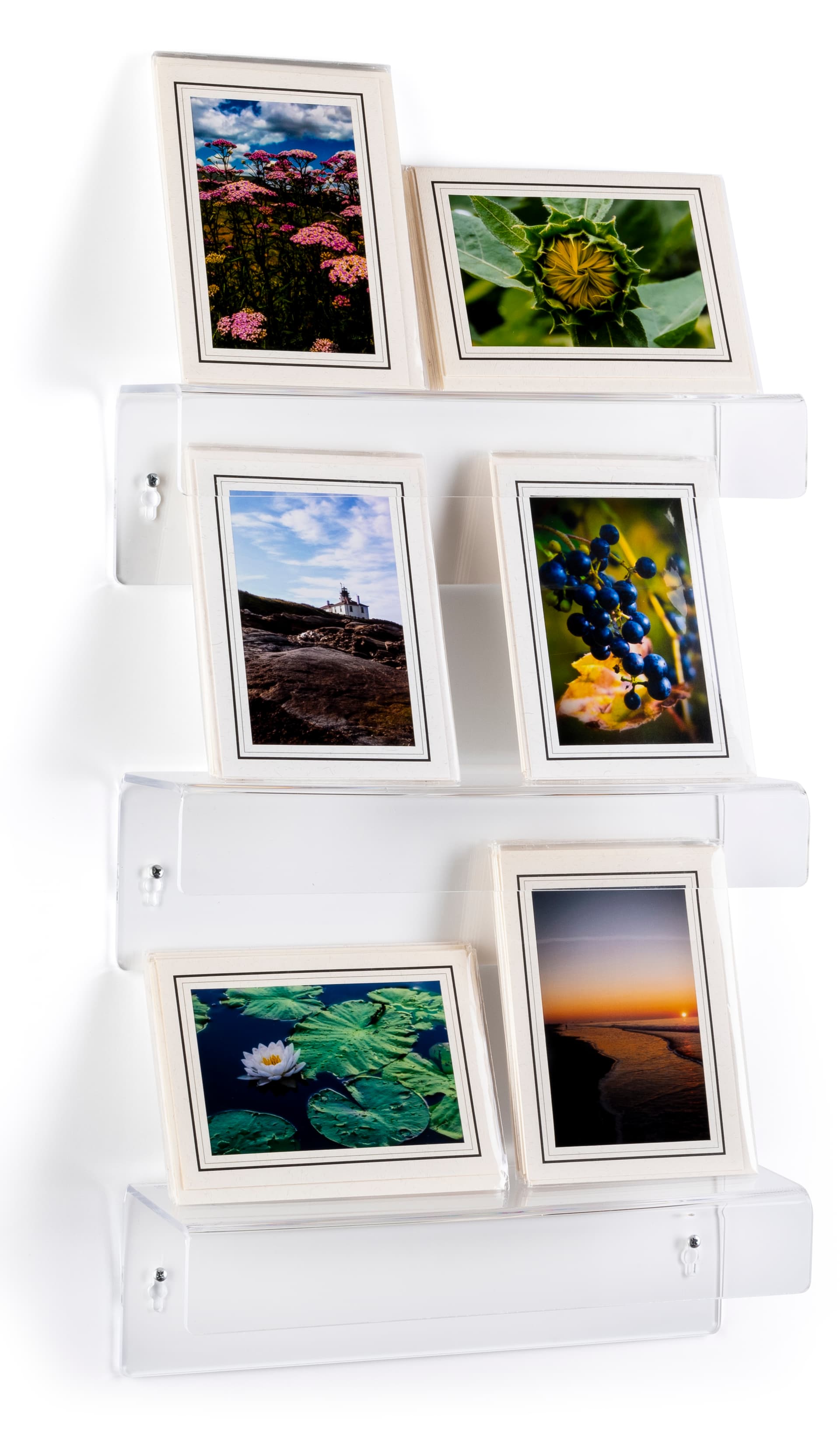Wall mounted acrylic shelves with 14 inch wide display area 
