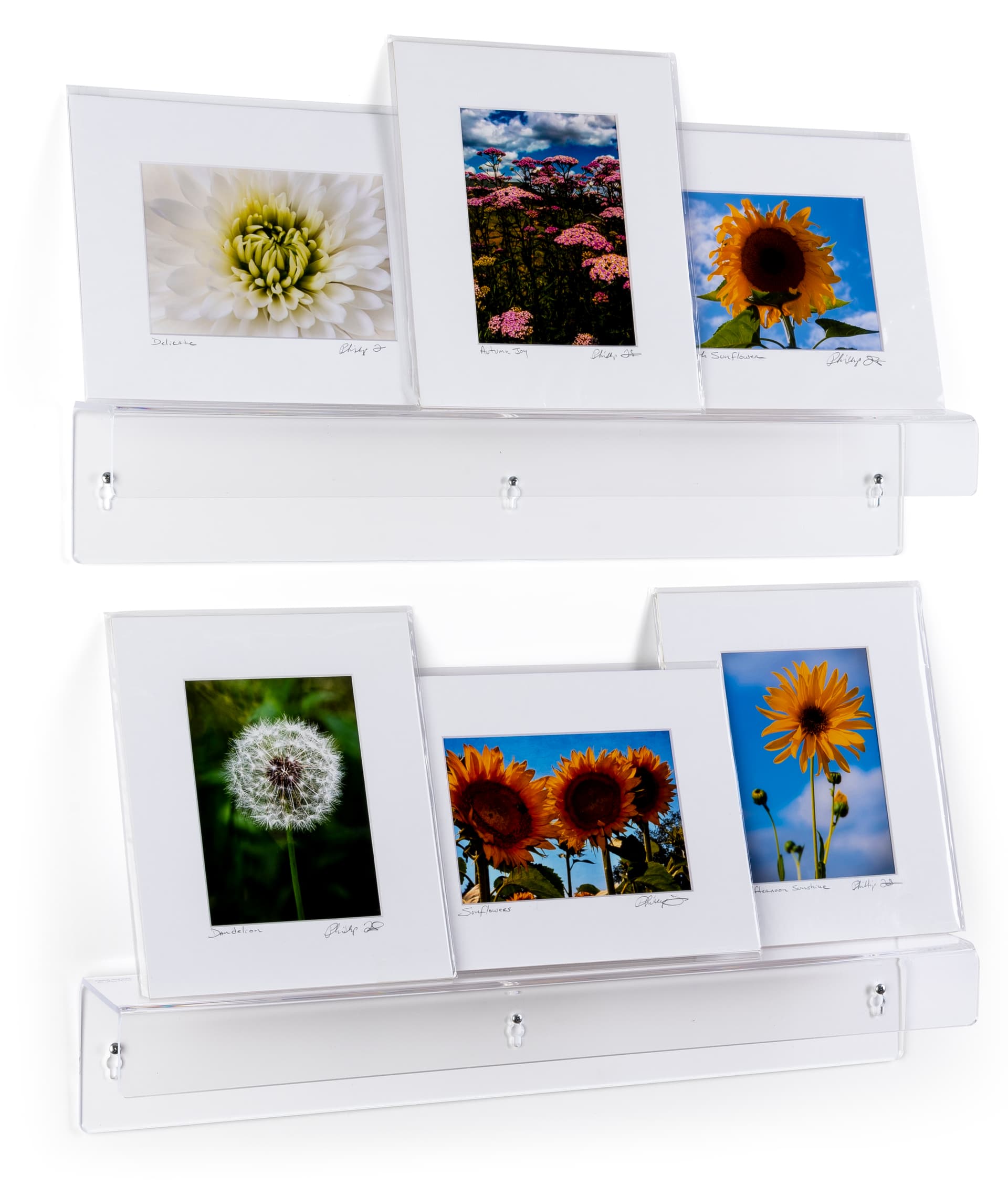 Dual functioning acrylic wall shelves feature an j shape design 