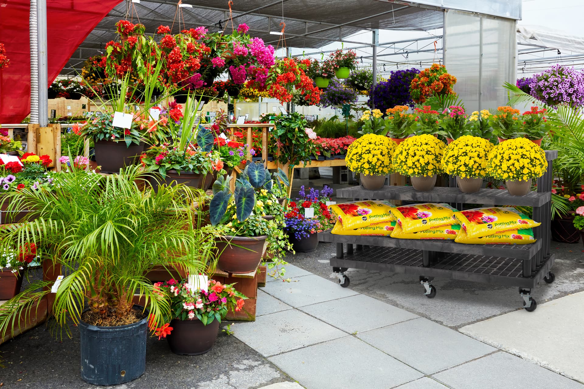 Rolling commercial nursery rack with large 66 inch merchandising space 