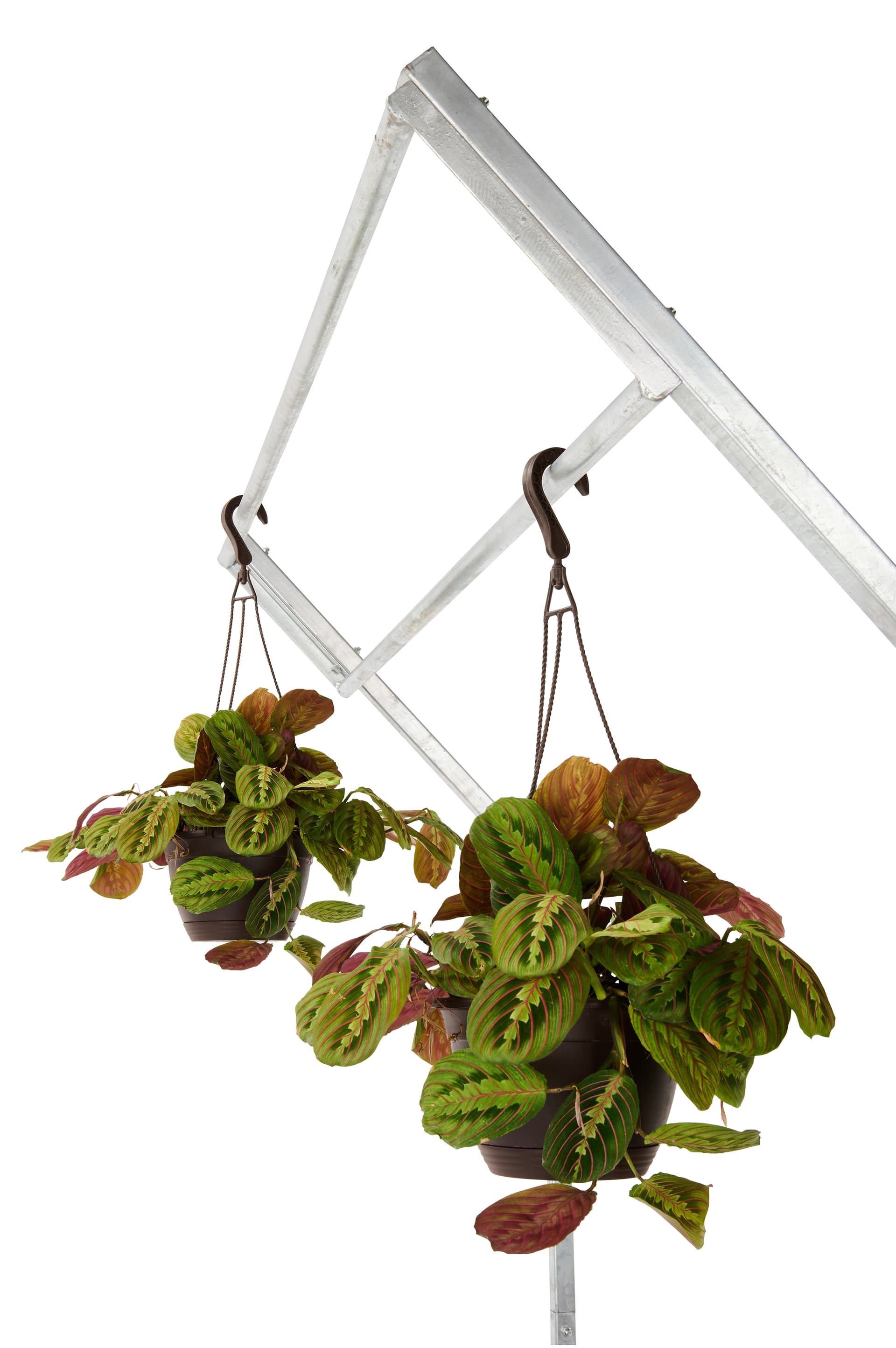 Steel nursery plant rack with commercial grade steel construction