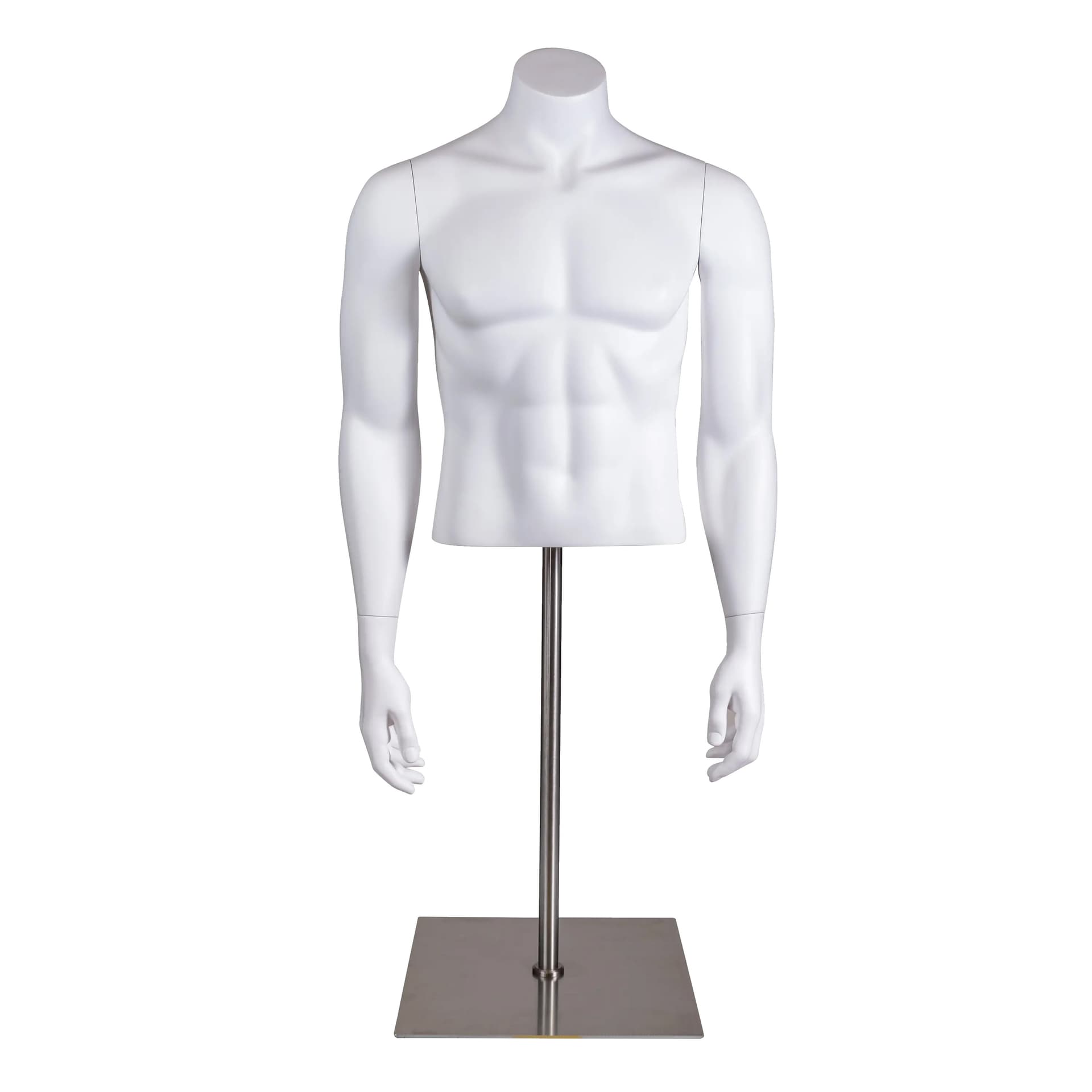 Male mannequin torso with modern design