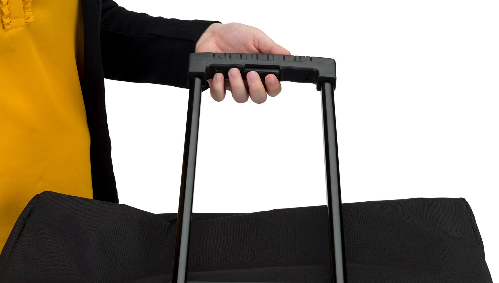 Trade show carpet bag with extendable handle