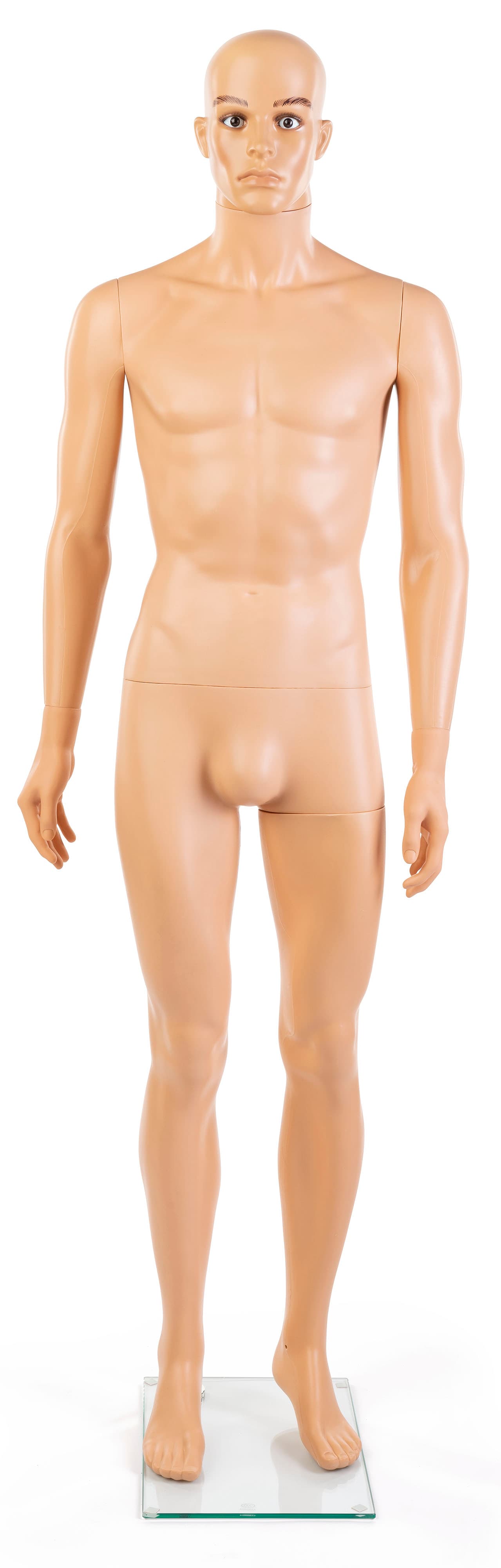 Plastic Male Mannequin