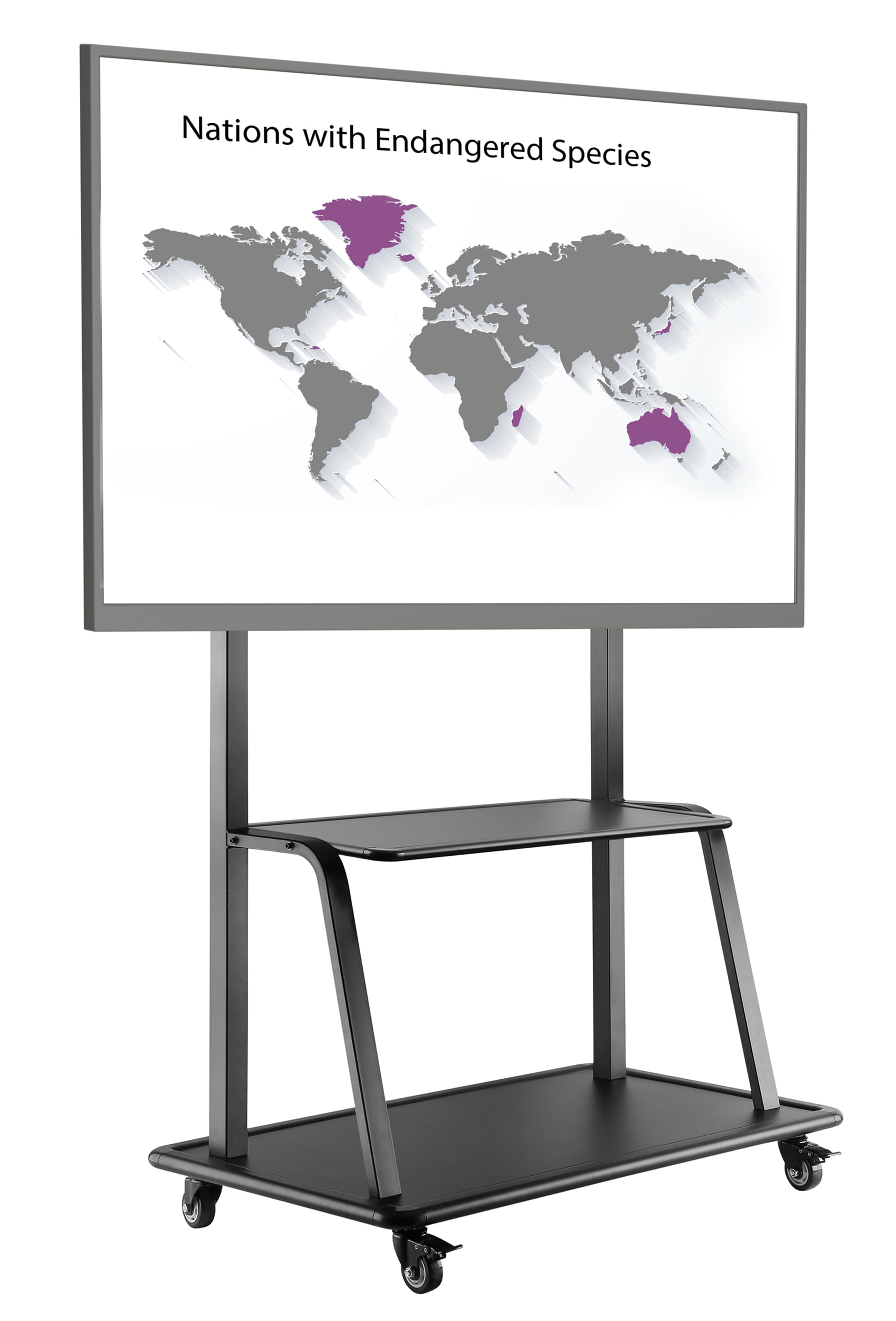 Contemporary mobile TV mount is great for presenting 
