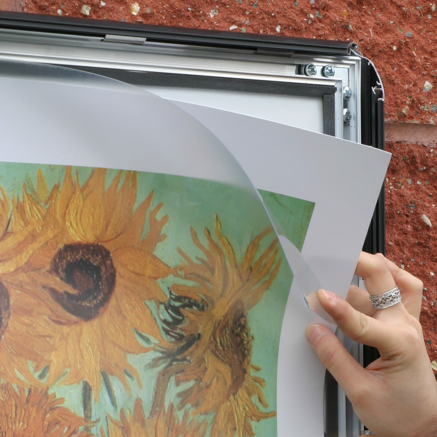 24 x 36 frames