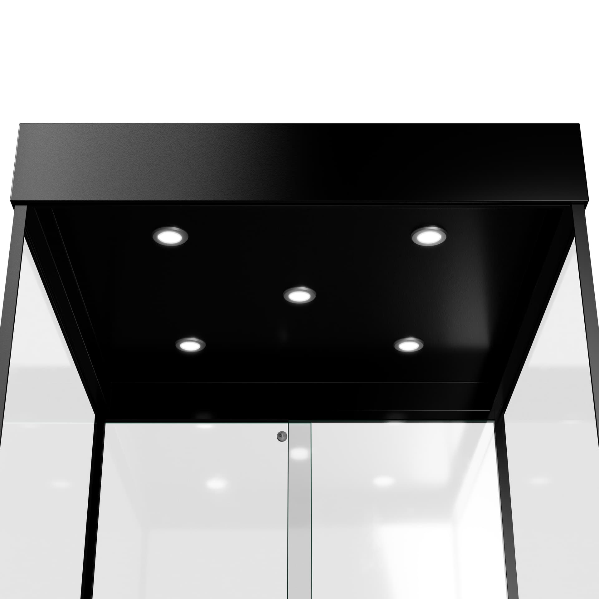 Mannequin display case with energy efficient LED lights