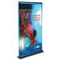Rollup Banner Stand