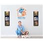 Wall mounting magazine and brochure holder with a sleek black back board 