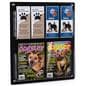 20 inch x 23 inch magazine rack for wall