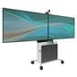 multimedia carts