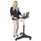 Sit-Stand Rolling Laptop Workstation