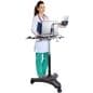 Rolling iPad Workstation for Medical or Business Use