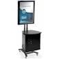 TV Stand with Security Cabinet