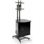 TV Stand with Security Cabinet