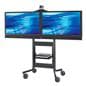 video conference cart