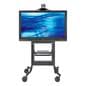 flat panel floor stand